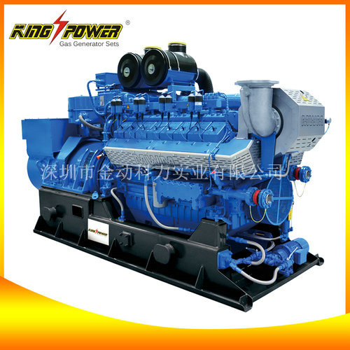 進口天燃氣發(fā)電機/供應(yīng)天然氣發(fā)電機組