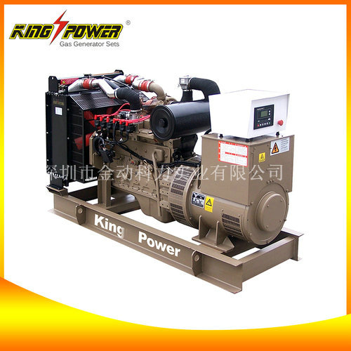 廣東天燃?xì)獍l(fā)電機/供應(yīng)天然氣發(fā)電機